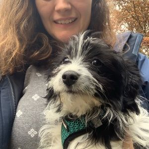 Meet your Posher, Holly